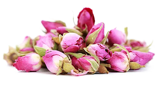 غنچه گل محمدی