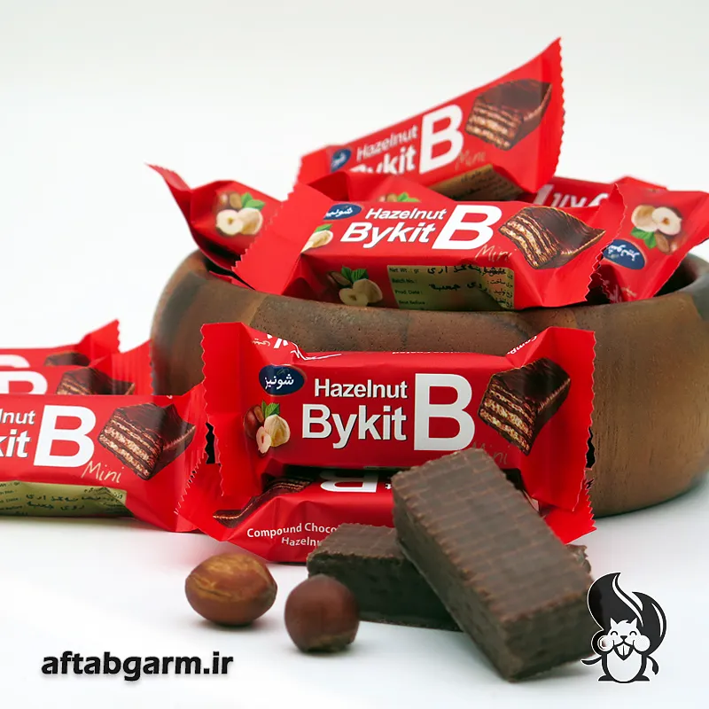 مینی بایکیت فندقی شونیز