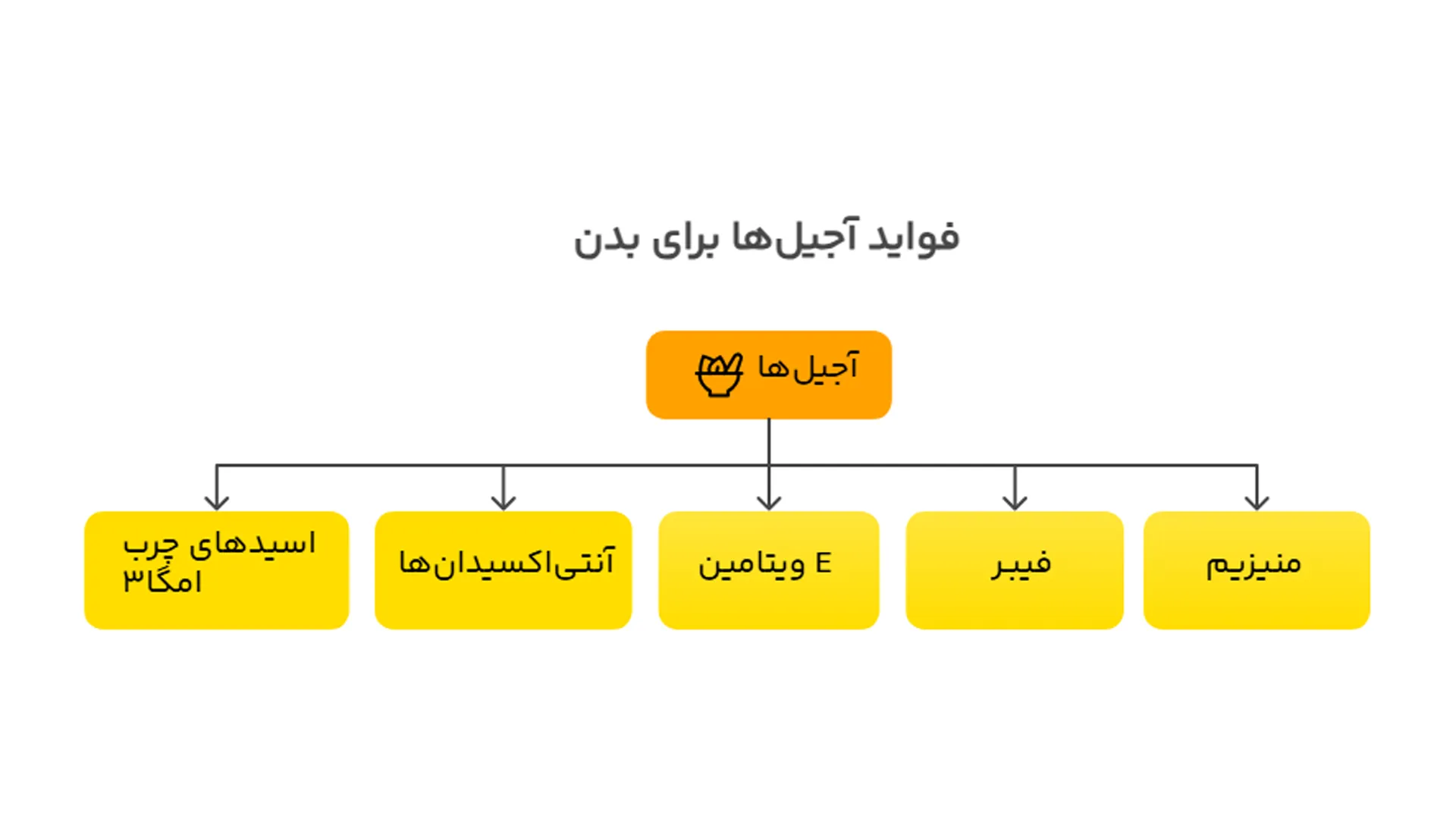 چرا آجیل ها برای بدن مفیدند