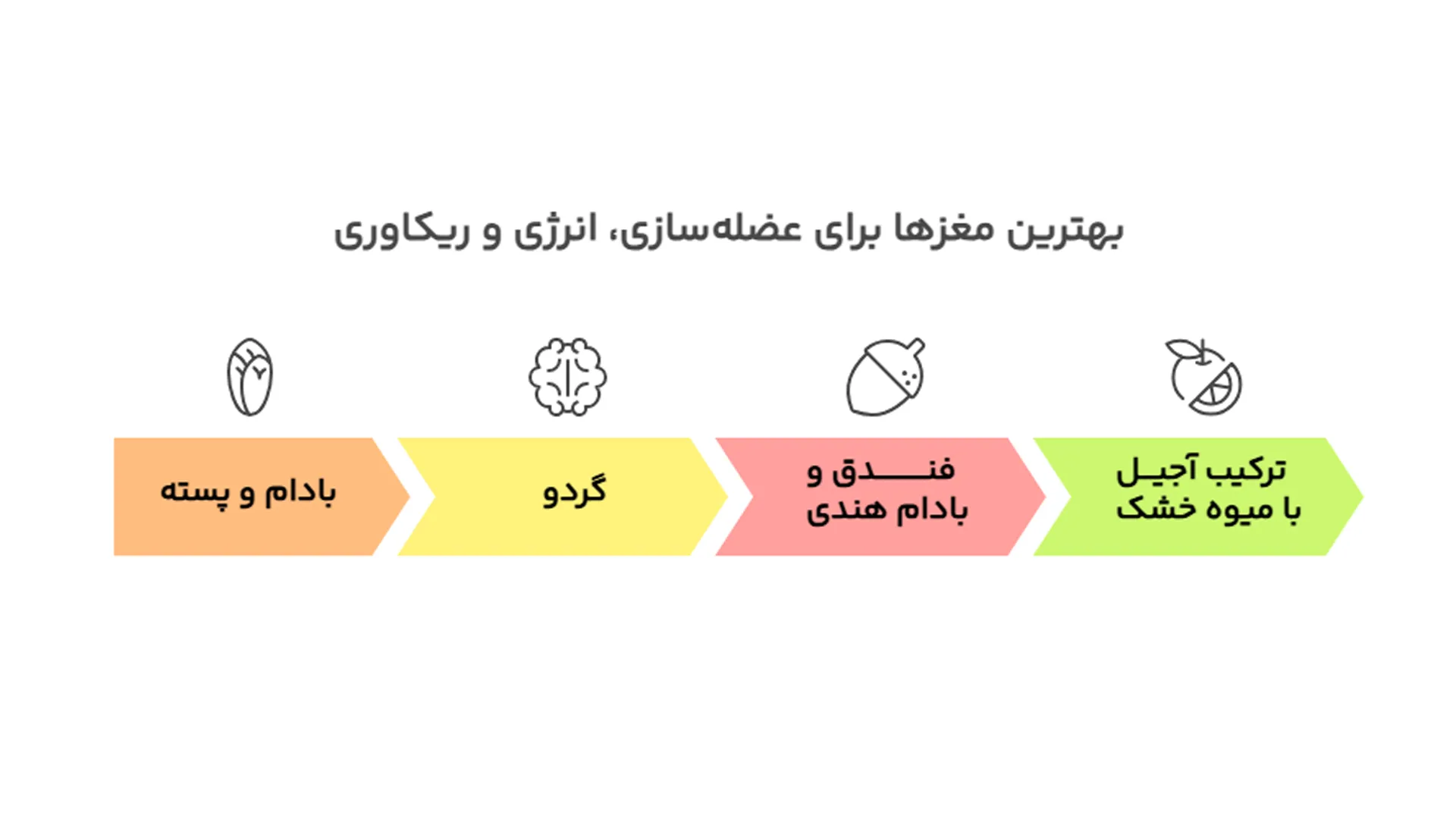 بهترین مغزها برای عضله سازی، انرژی و ریکاوری