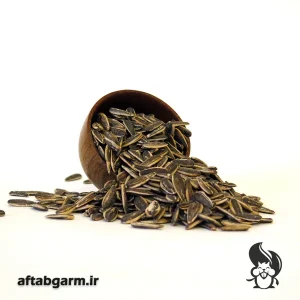 تخمه آفتابگردان دورسفید