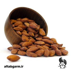 بادام درختی نمکی