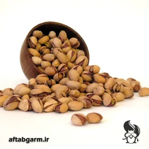 پسته فندقی